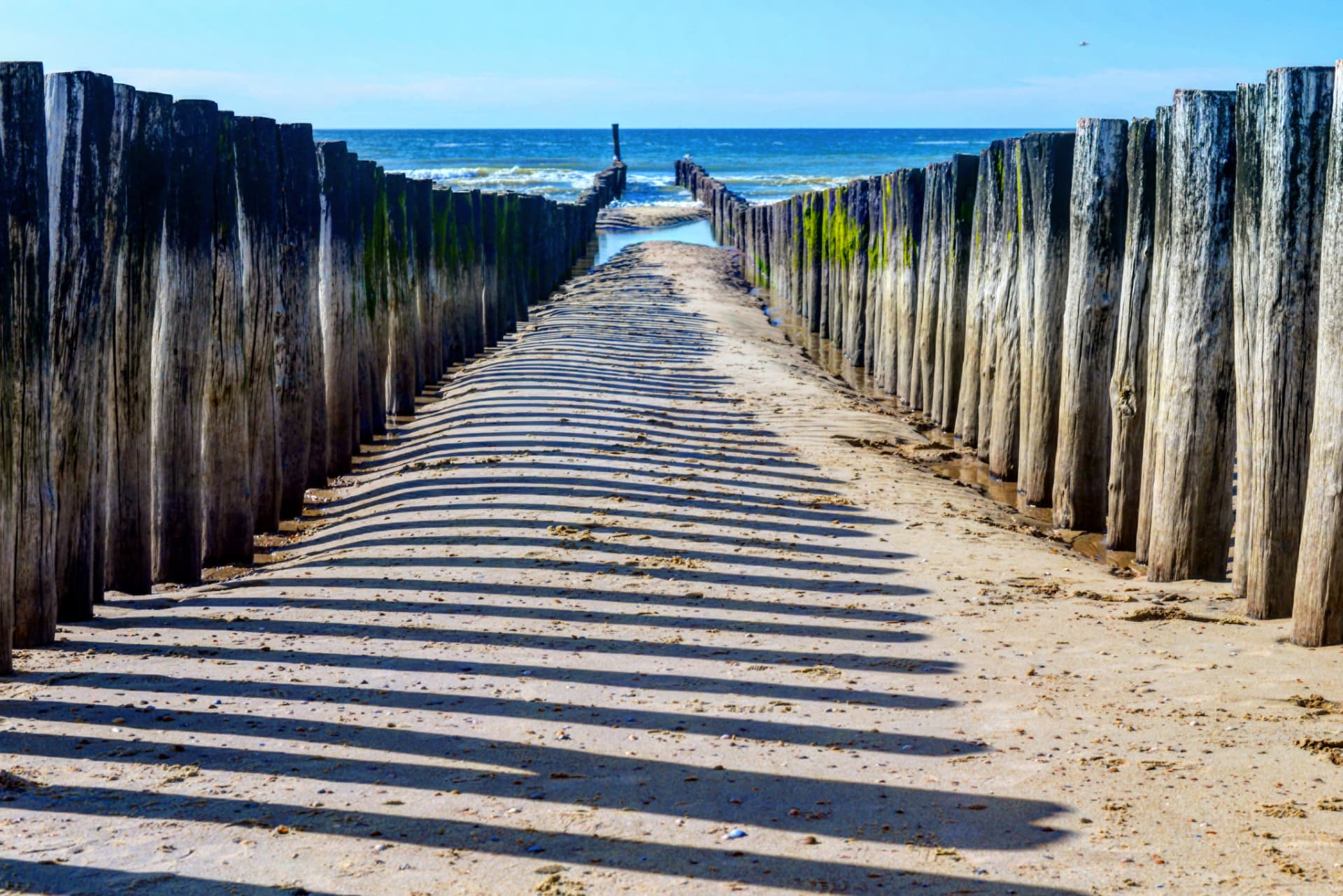 Wave breakers and long shadows, Domburg, Netherlands