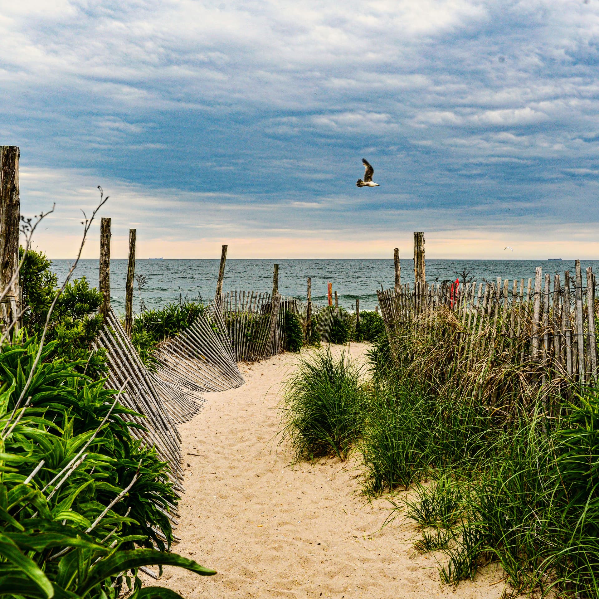 Path through the dunes, Long Island, New York